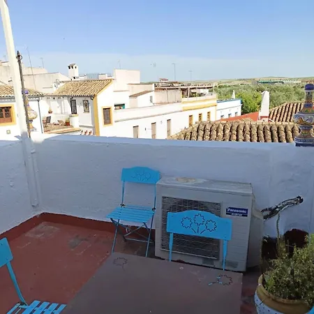 Del Potro Cordoba